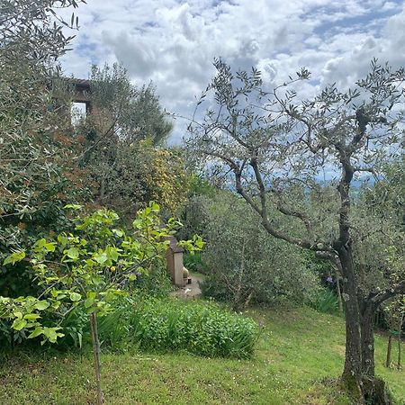 Podere Casallorto Volterra Exteriér fotografie