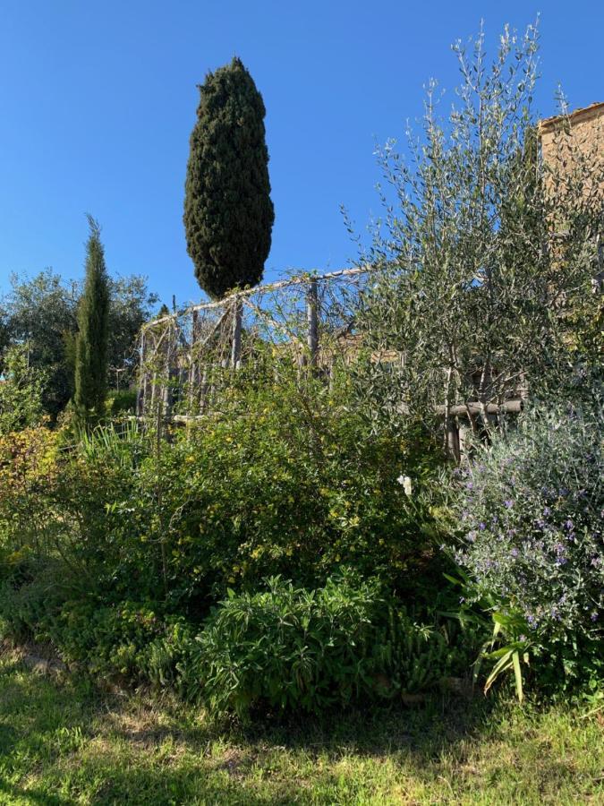 Podere Casallorto Volterra Exteriér fotografie
