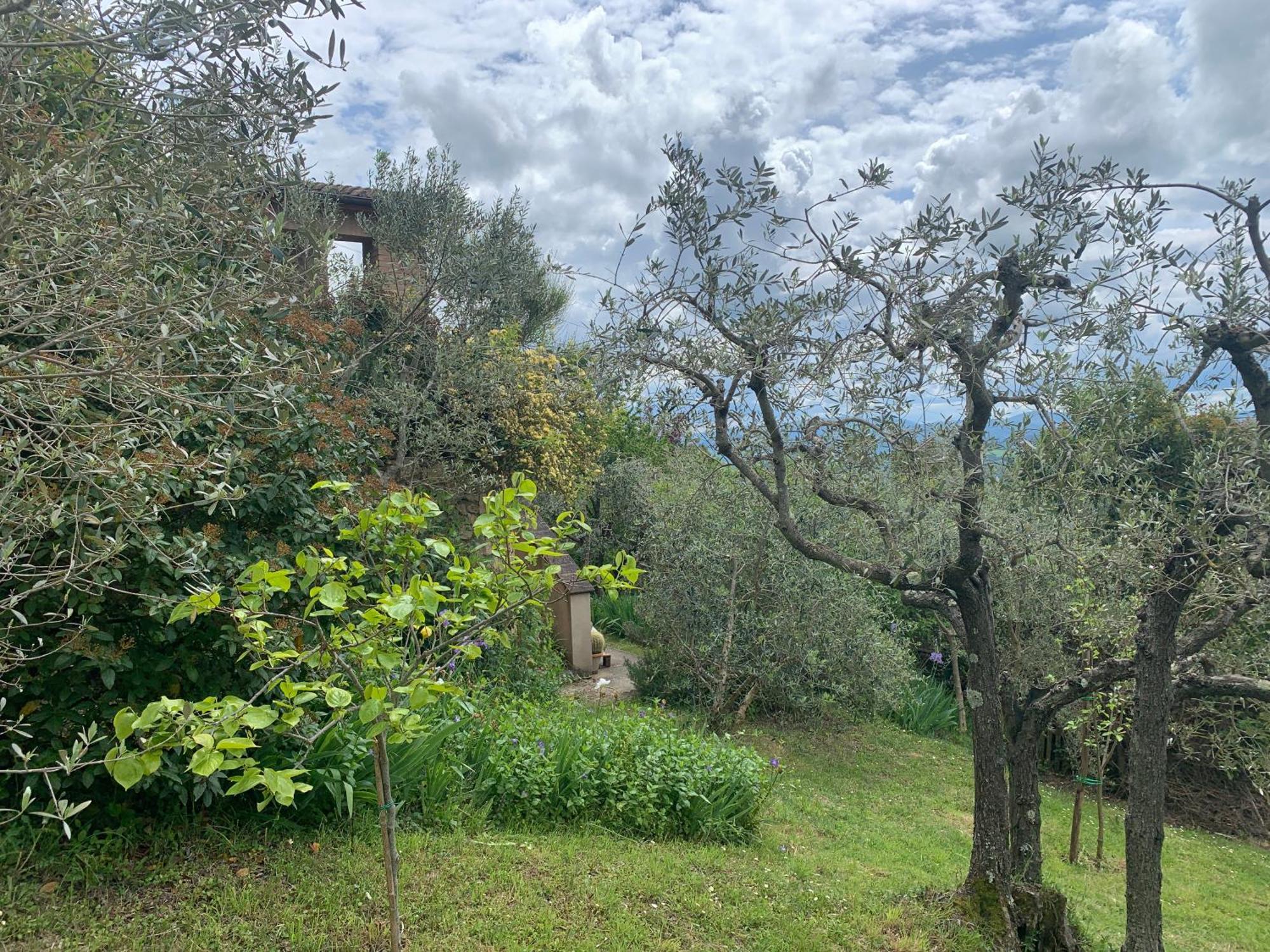 Podere Casallorto Volterra Exteriér fotografie